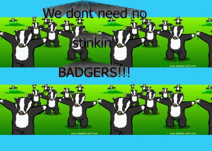 We dont need no stinkin' Badgers!
