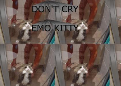 Don't cry, emo kitty