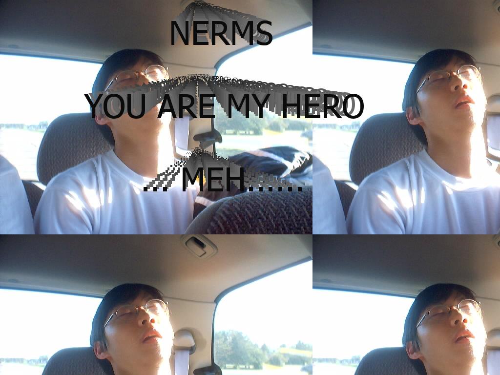 nermsisourhero