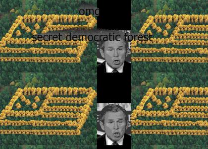 omg secret democratic forest