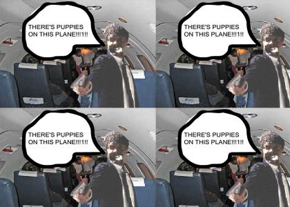 PUPPIES ON A PLANE!!!1