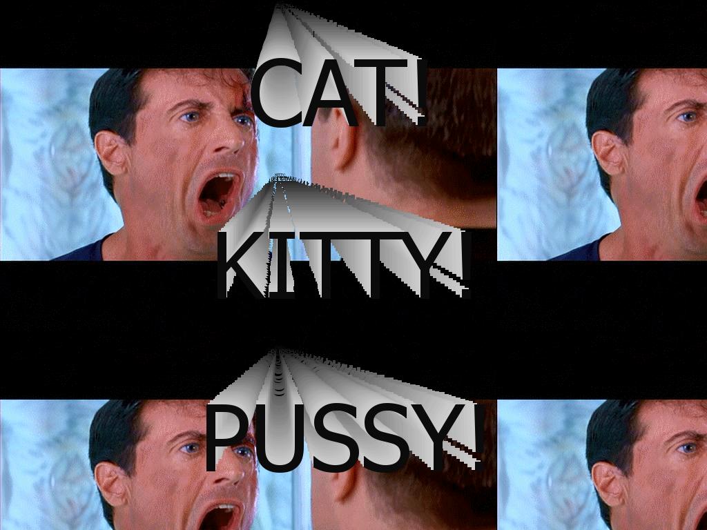 kittykat