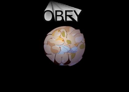 obey the booby ball