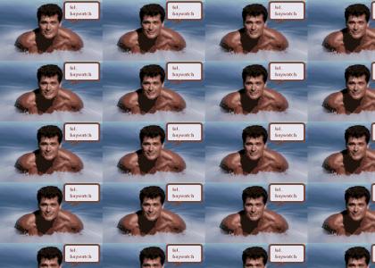 lol hasselhoff