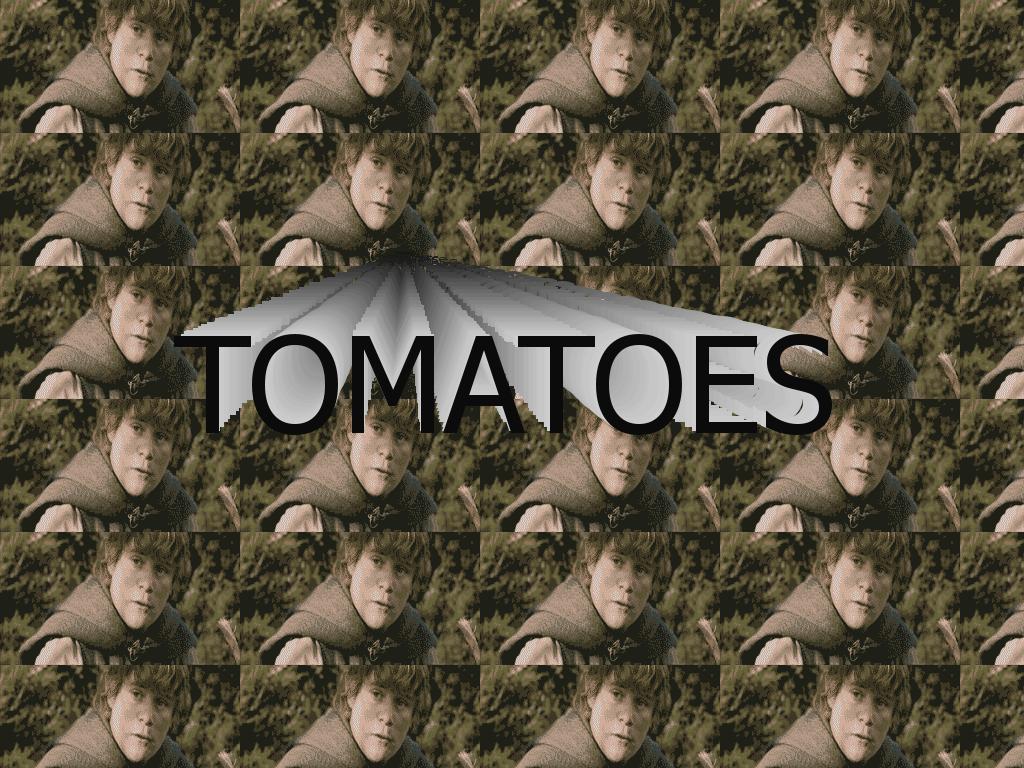 tomatoes