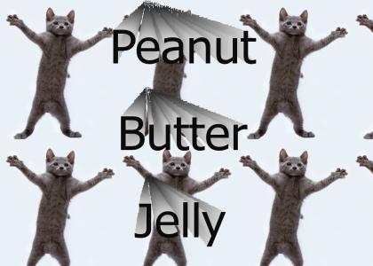 Peanut Butter Jelly Cat!
