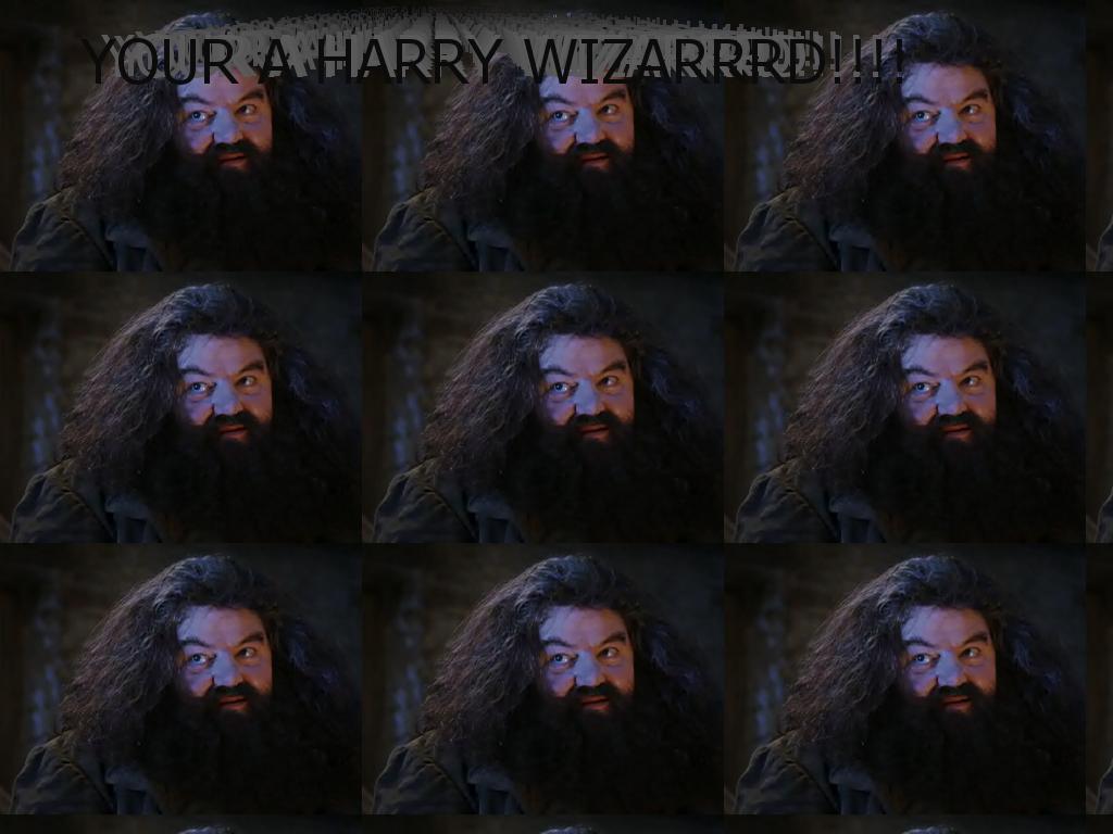 HarryWizard