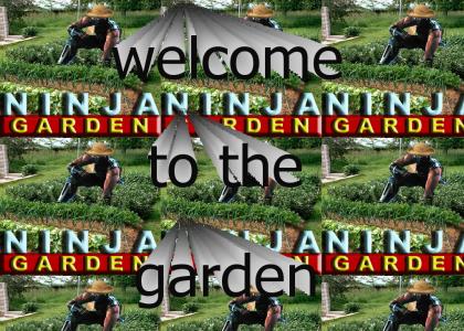 Ninja Garden