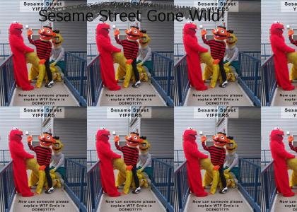 Sesame Street Gone Wild