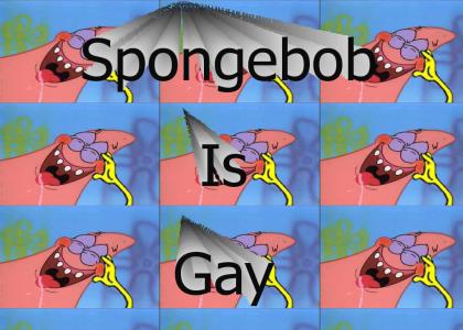 Spongebob Is Gay