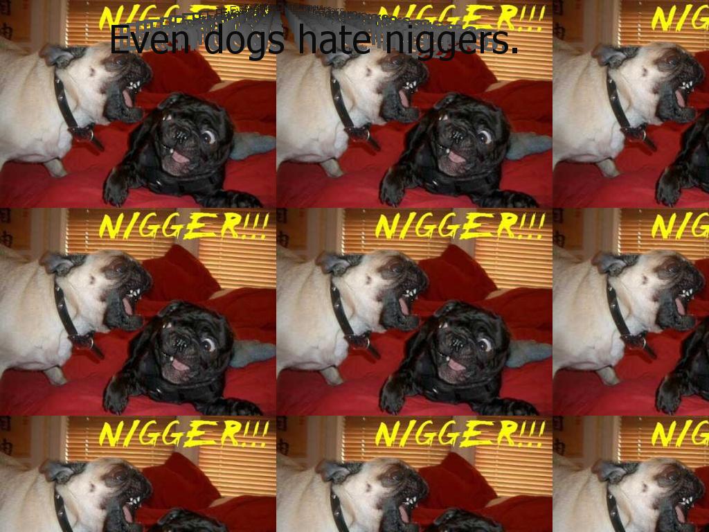 niggerdog