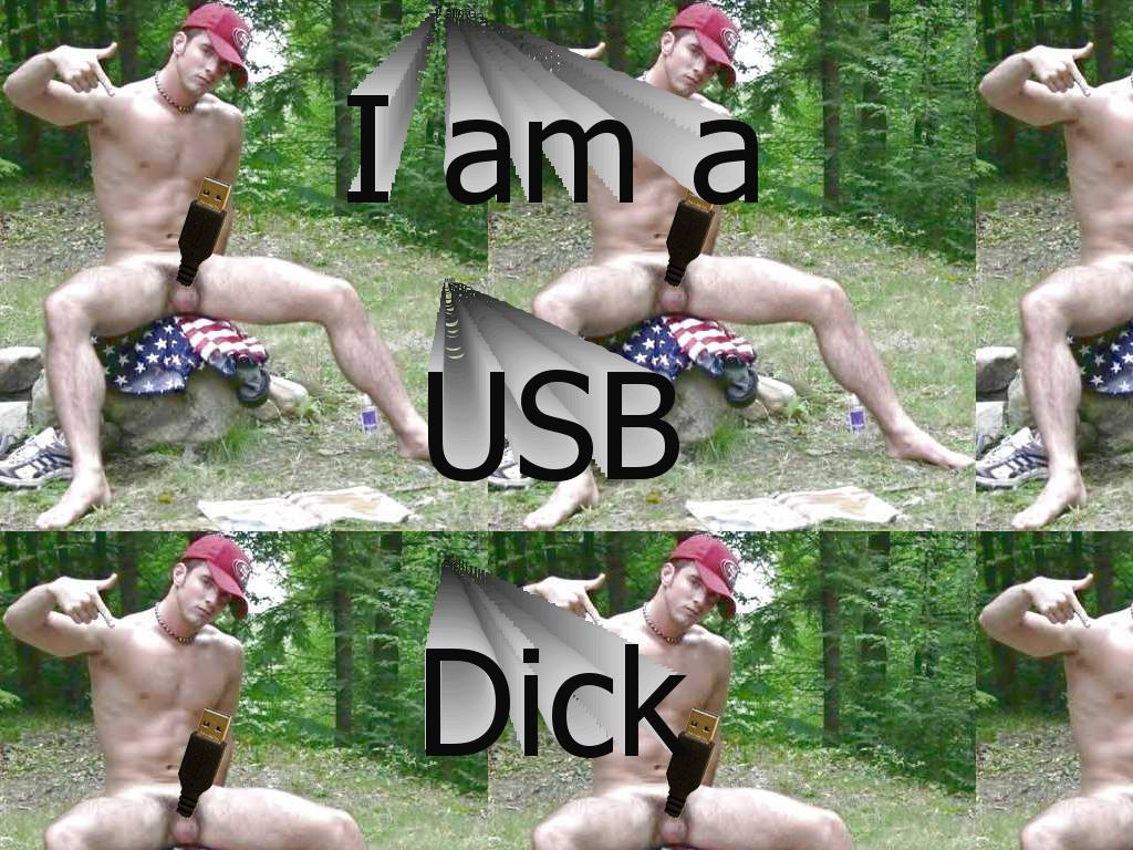 USB-Dick