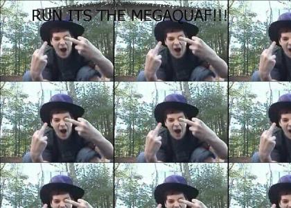 Run, its the MEGAQUAF