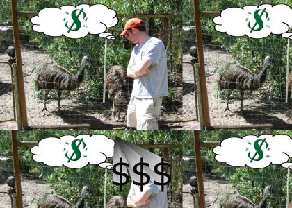 Emus are expensive