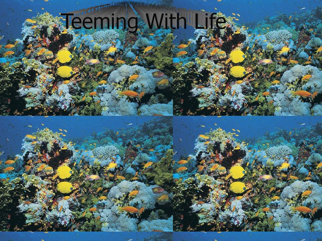 teeming