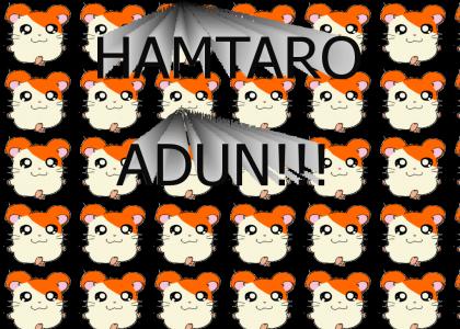 Hamtaro-Adun!