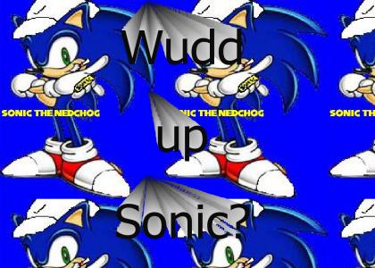 Sonic gives advice to Snoop Dogg fans