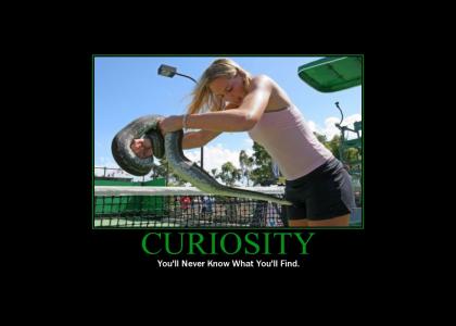 Motivator: Curiosity
