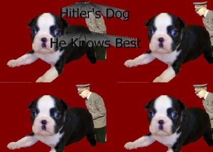 hitler's dog