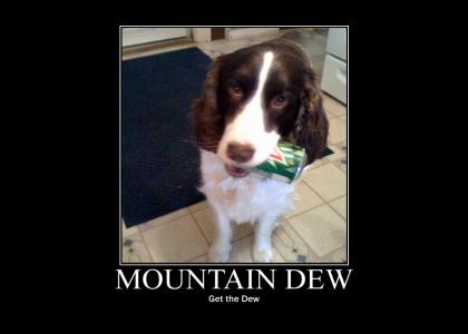 Puppycan: Get the Dew