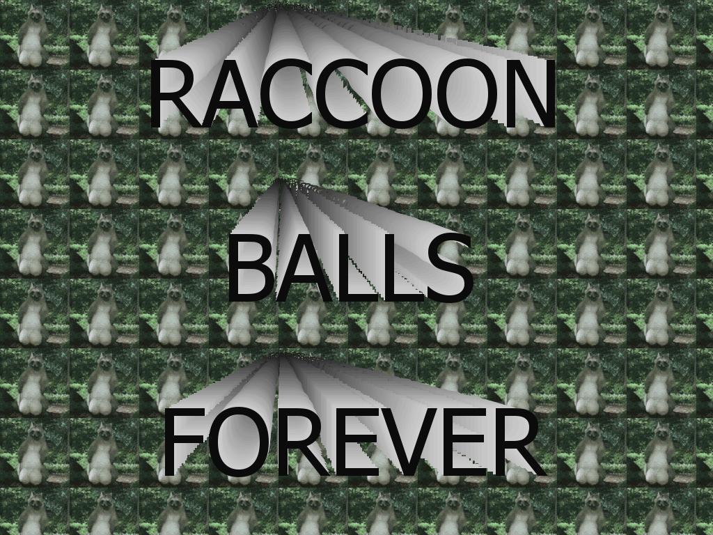 RacCOonballs