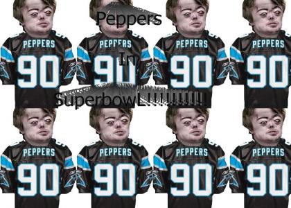 Panthers Road to Super Bowl