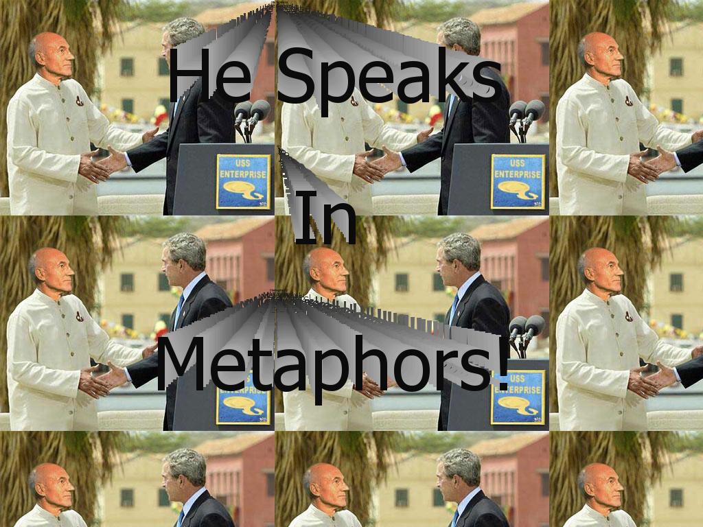 metaphorsbush