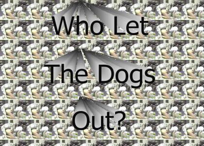 Who Let The Dog Out?