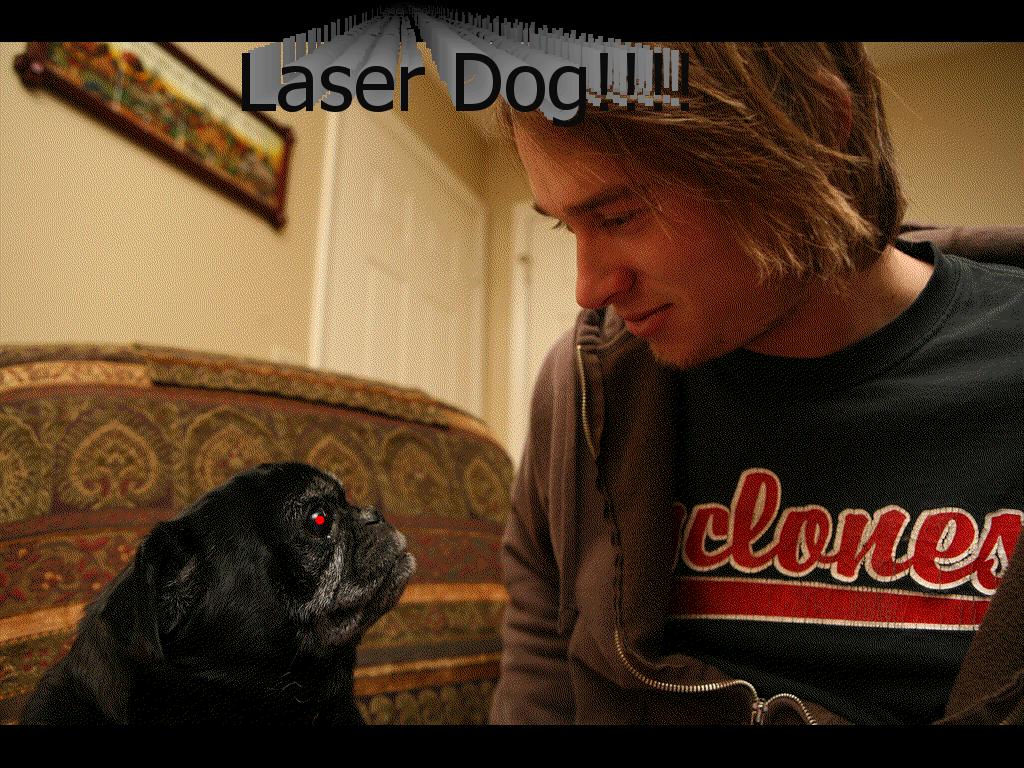 laserdog