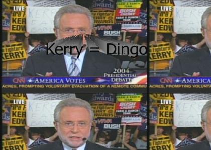 Kerry = Dingo