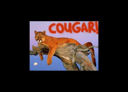 COUGAR!