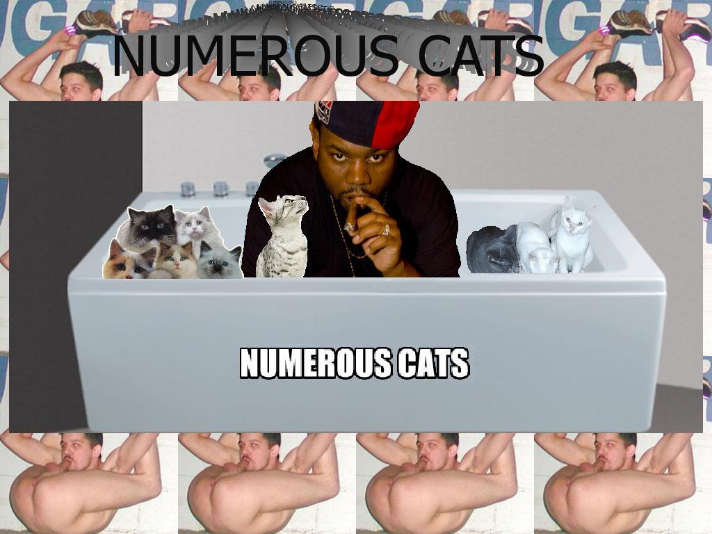 NUMEROUSCATS