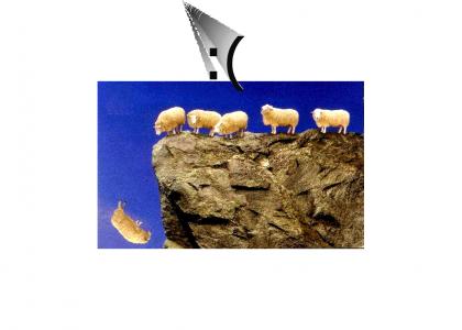 Suicide Sheep