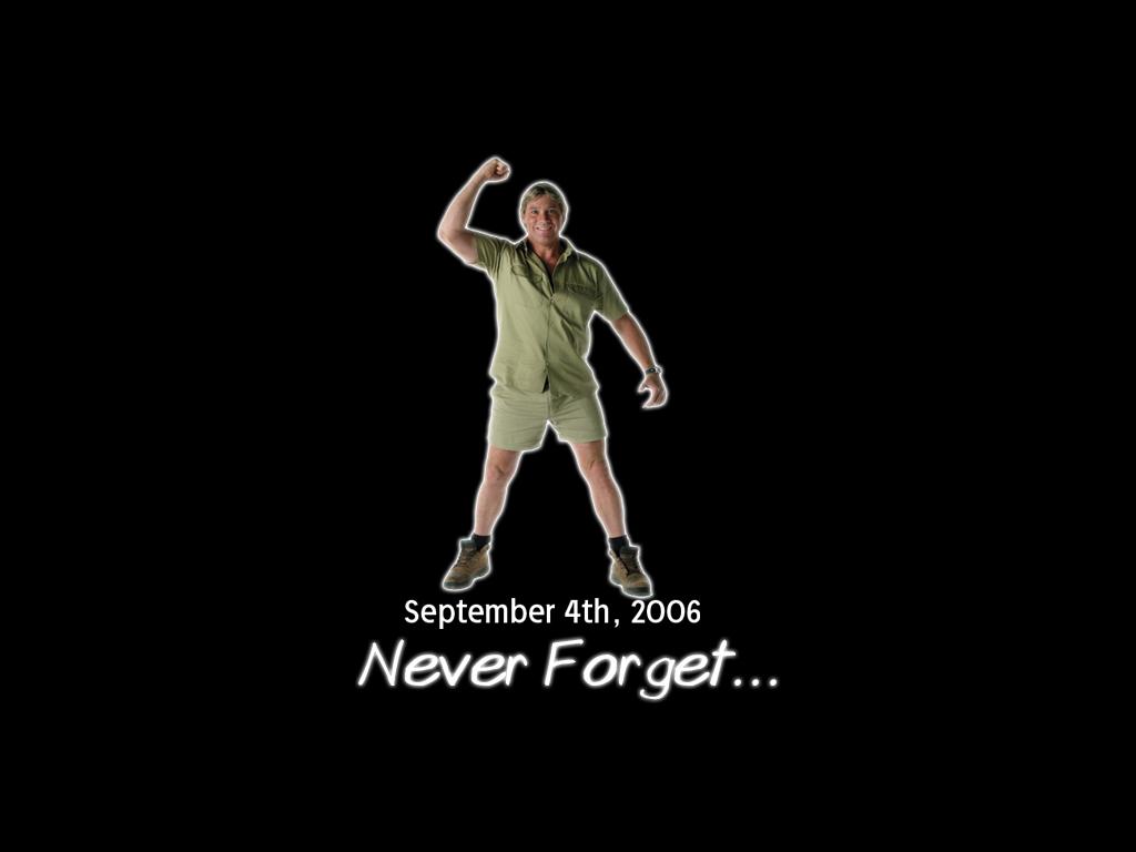 neverforgetsteve