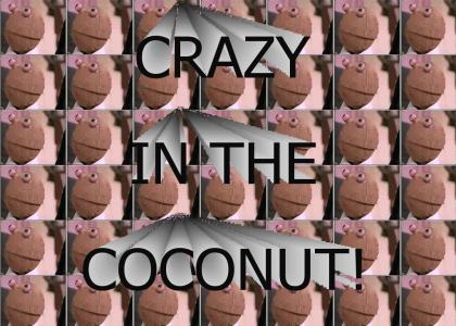 Crazy in the Coconut