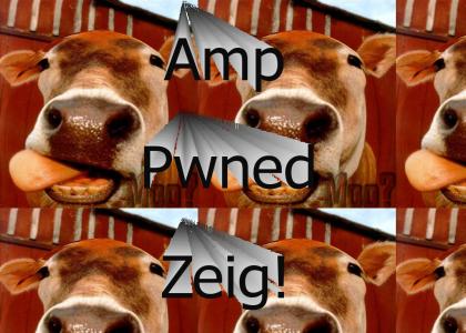 Amp pwned Zeig!