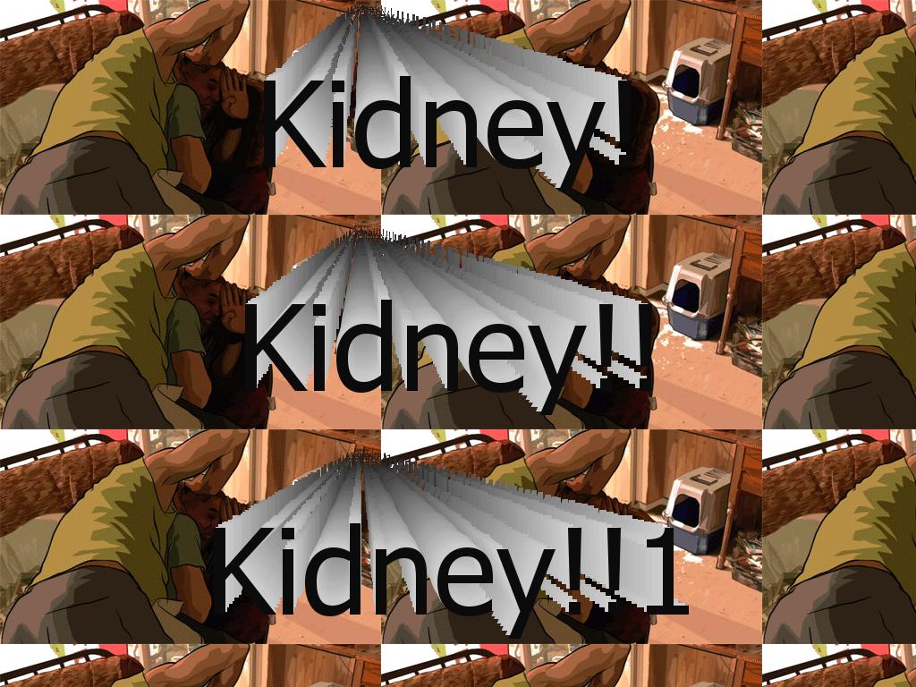 ascannerkidney