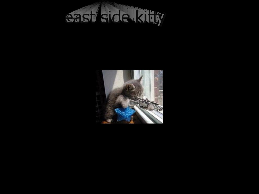 eastcoast-kitty
