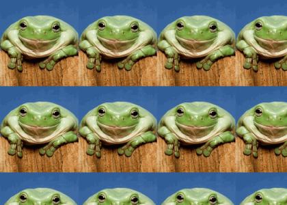 Happy Frog (refresh)