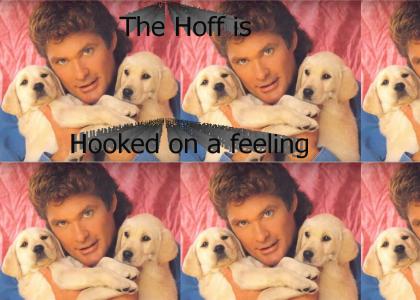 The Hoff Loves Puppies