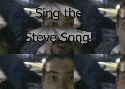 The Steve Song