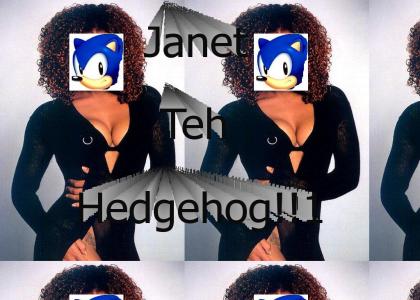 Janet The Hedgehog
