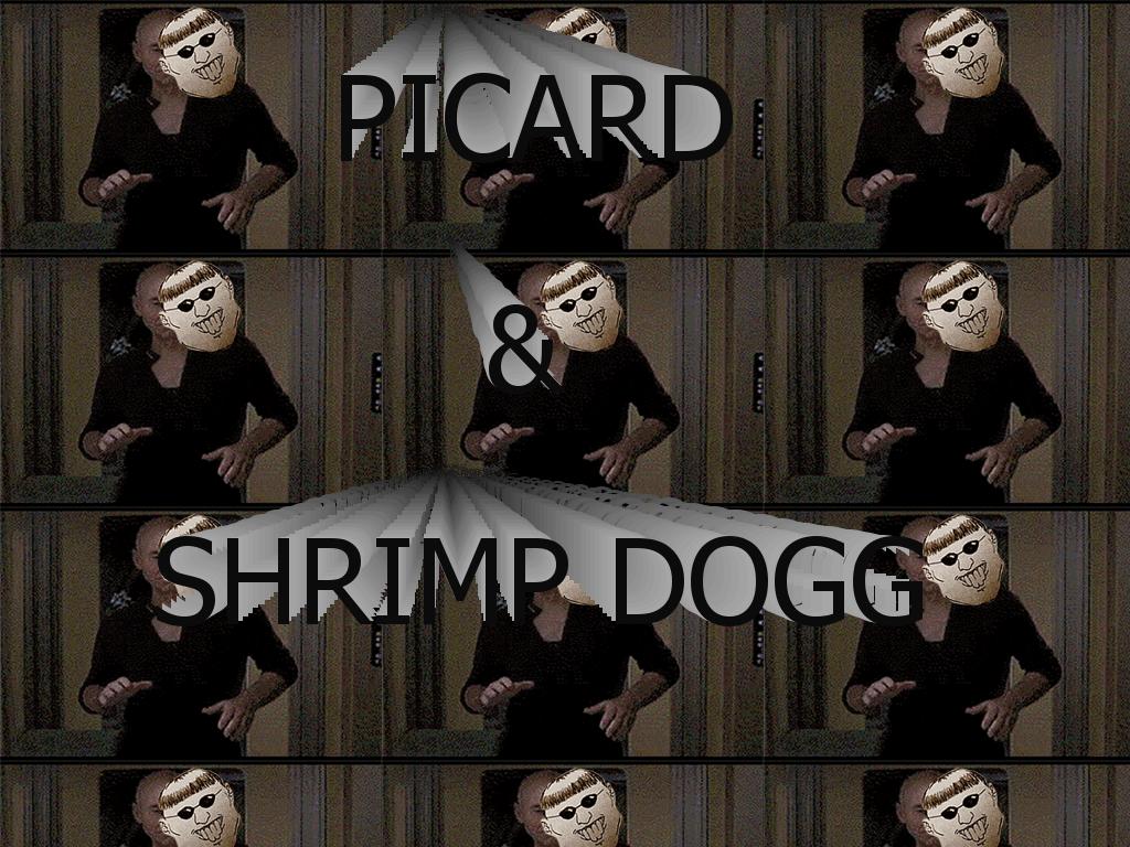 picardshrimpdogg