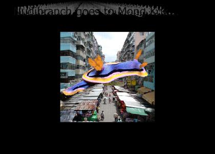 Nudibranch Goes to Mong Kok