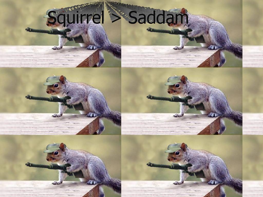 squirrelscaughtsaddam