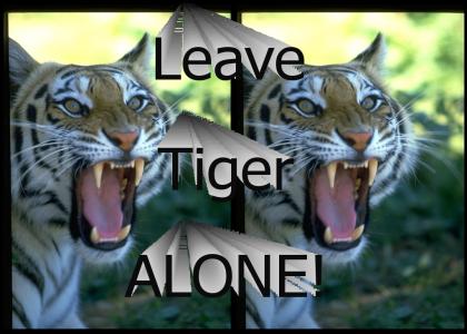 Leave Tiger Alone!