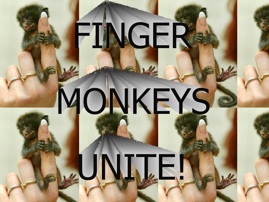 fingermonkeysunite