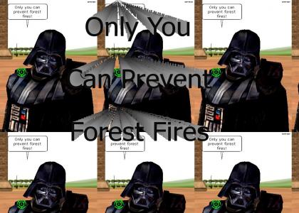 Forest Fires