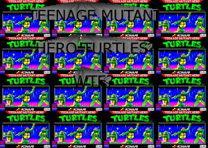 Teenage Mutant Hero Turtles? Ridiculous!