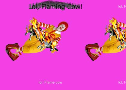 Lol Flaming cow